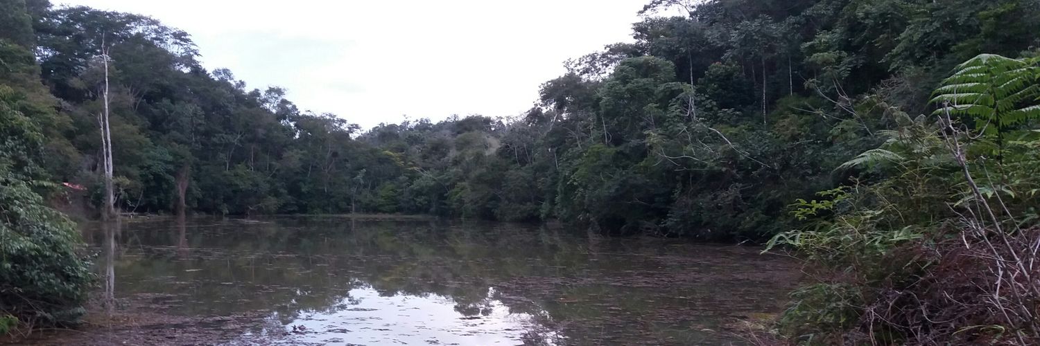 PedroPradoFilho's profile banner image