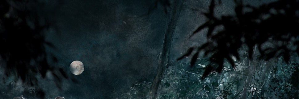 pinksginger's profile banner image