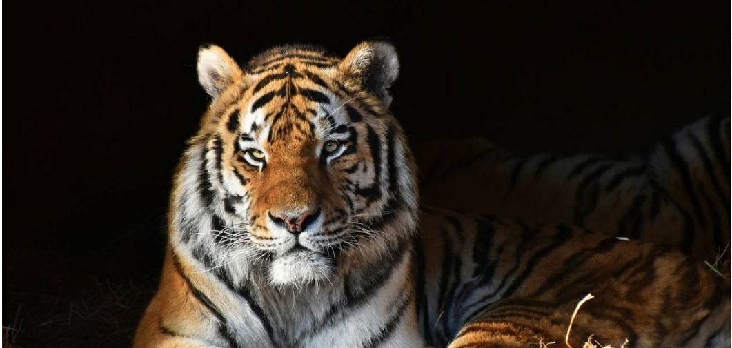jaitul's profile banner image