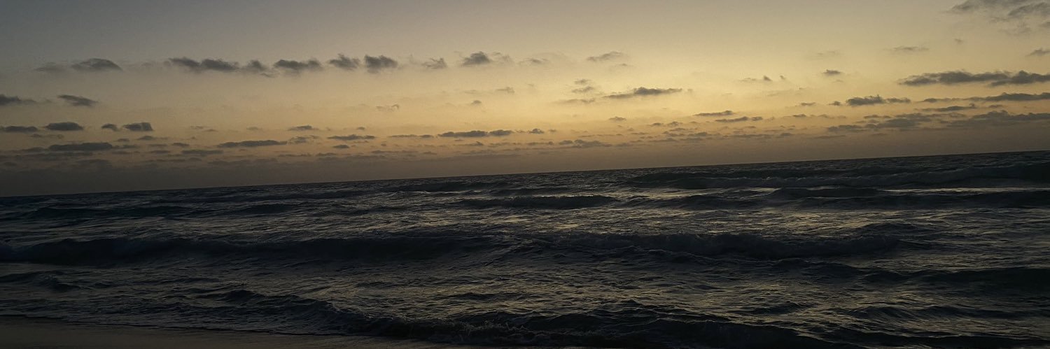 asserzayed_'s profile banner image