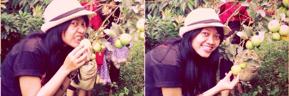 dianmodjojojo banner