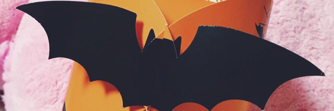 sn91165867's profile banner image