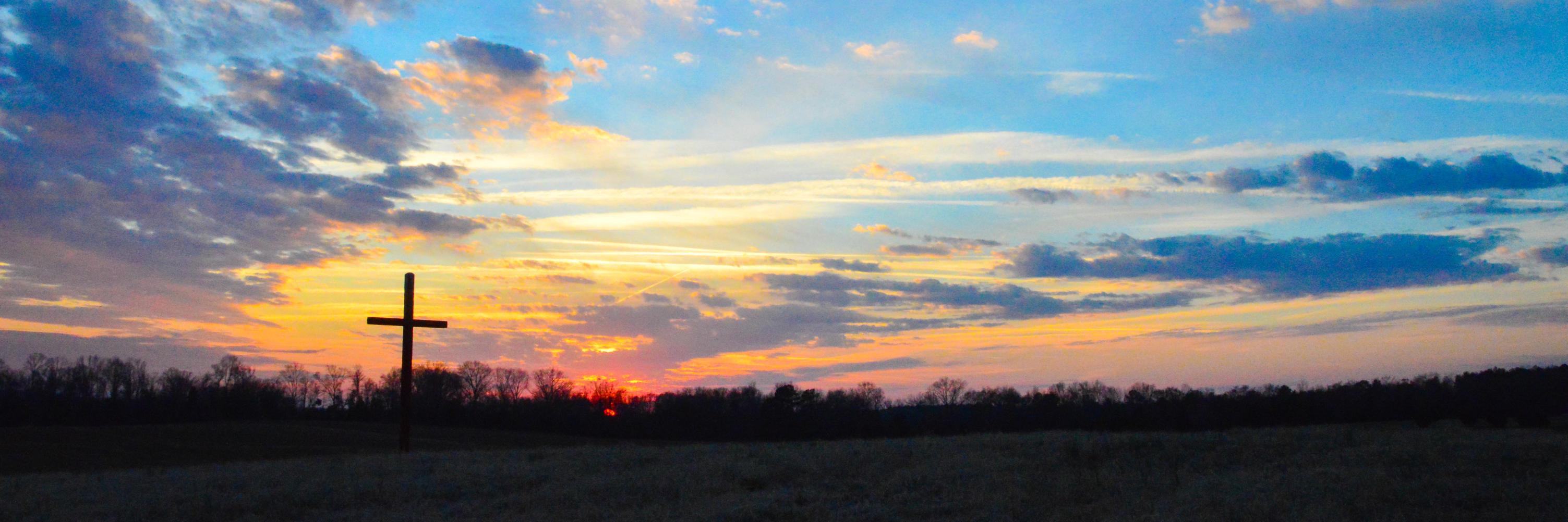 wlclexsc's profile banner image