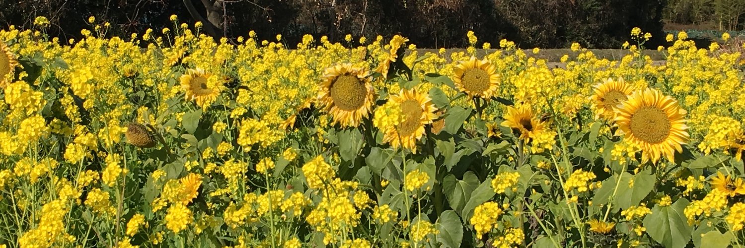 bigbudler's profile banner image