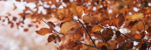 williamintent Profile Banner