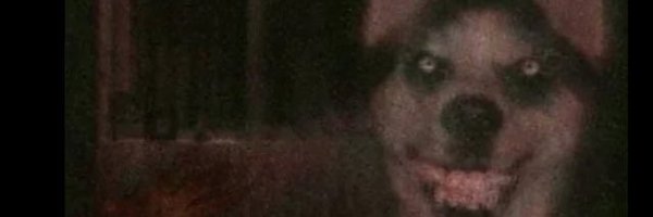 uncevil Profile Banner