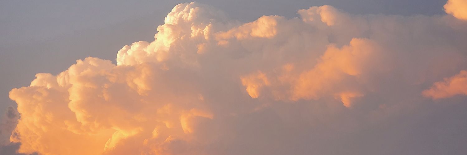 Luiseglz8a banner