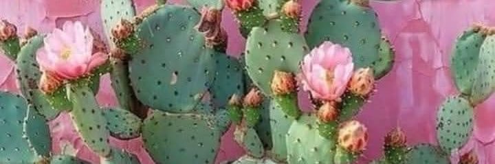 No apologies. banner