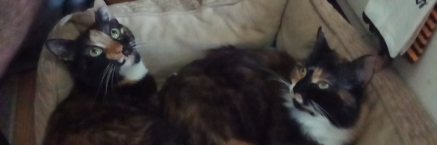 Sarahmonster91's profile banner image