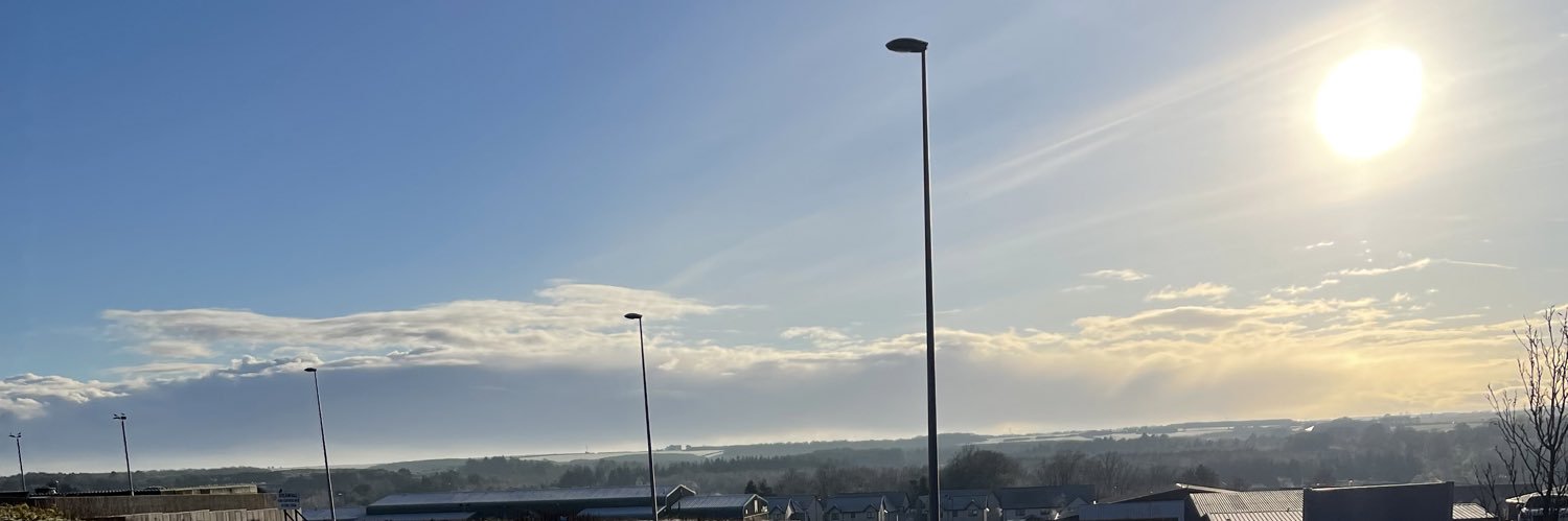Pau Cubarsí banner