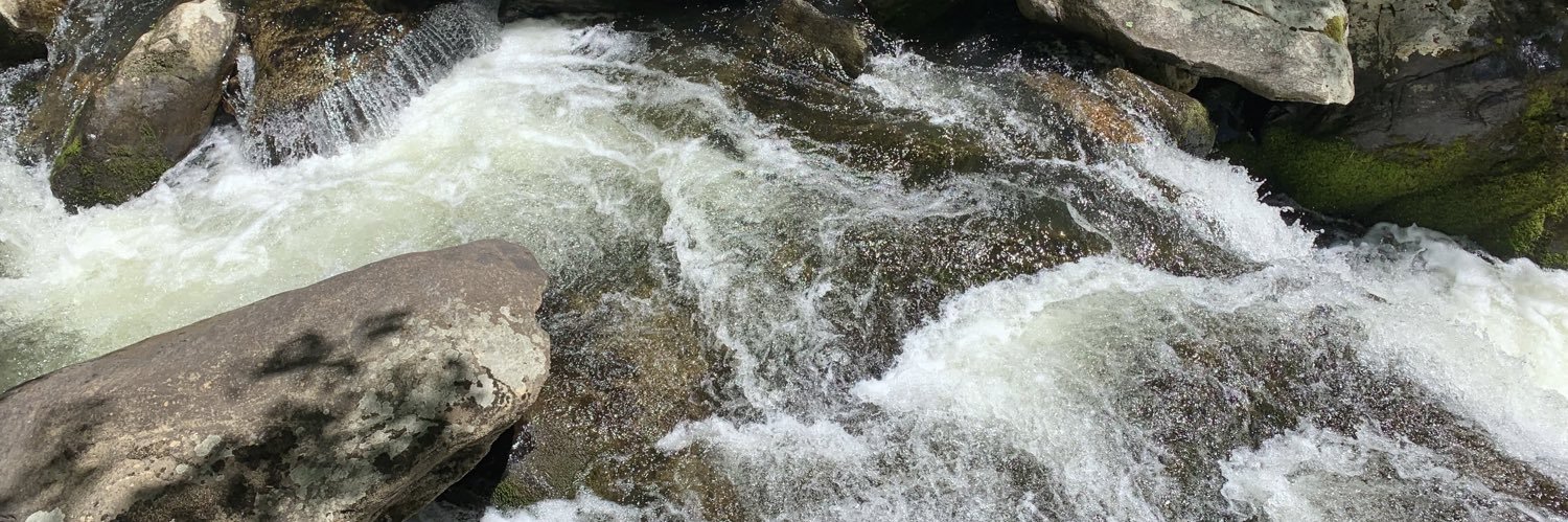 Howard Dunleavy banner