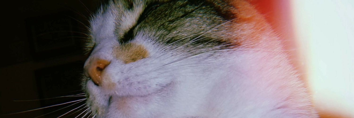 inoclv's profile banner image