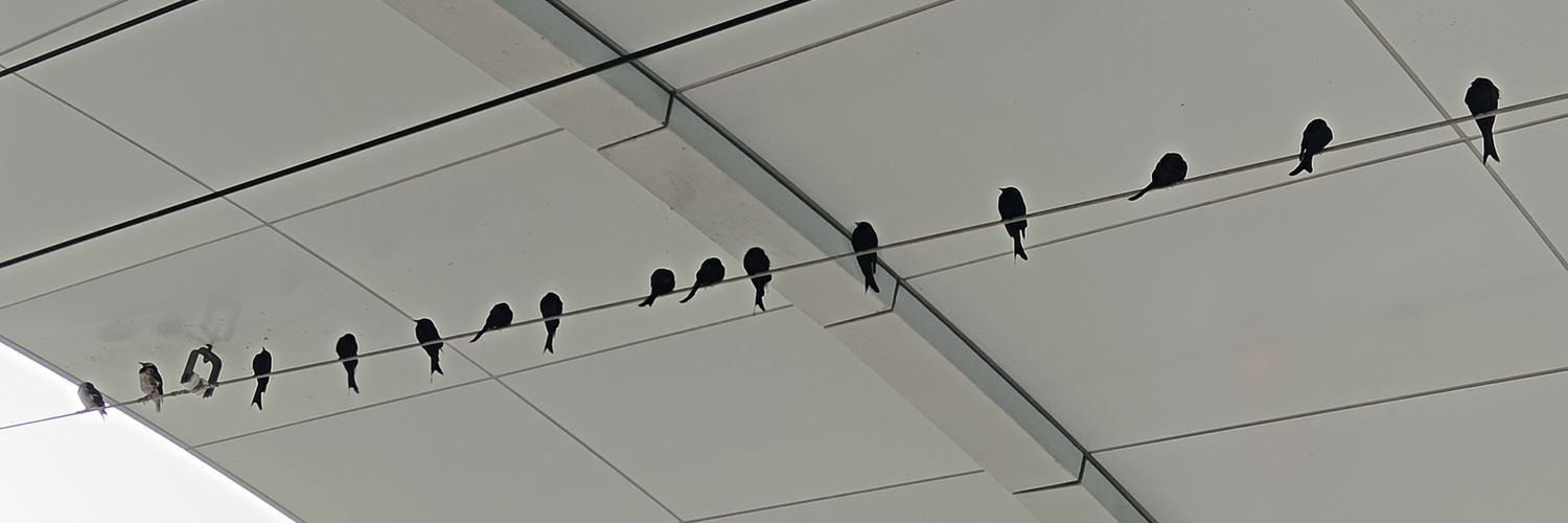 y_oruuu's profile banner image