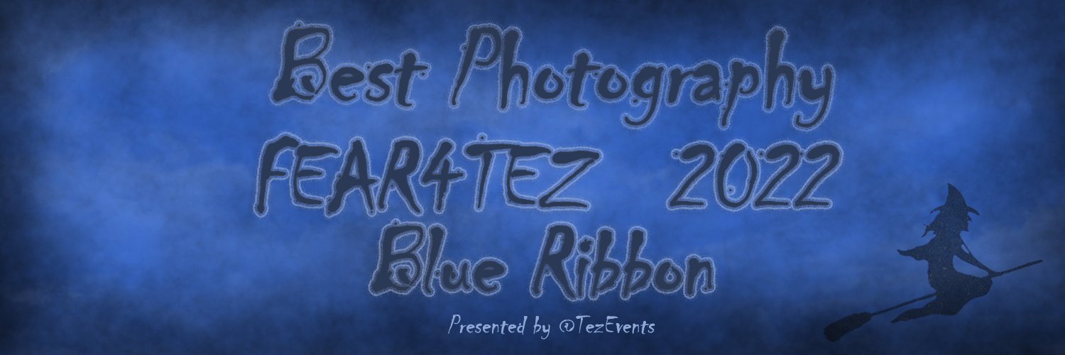 Stefano Pelloni banner