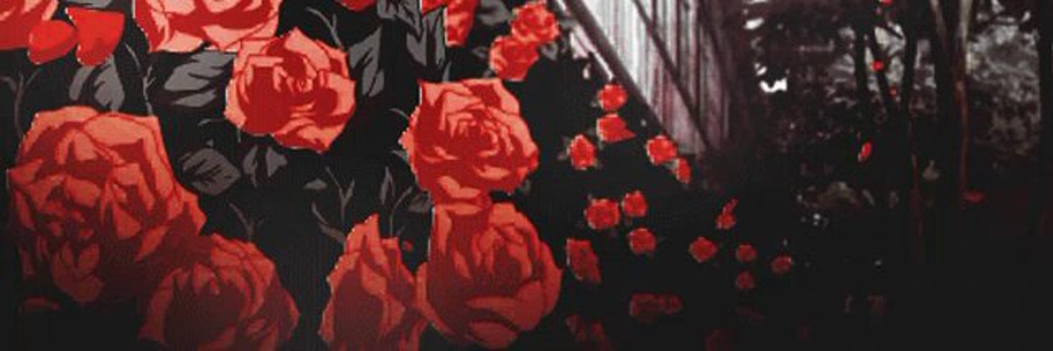 bcollamer's profile banner image