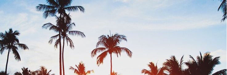 SkaCastillo's profile banner image
