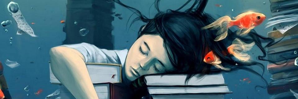 LauusFloress's profile banner image