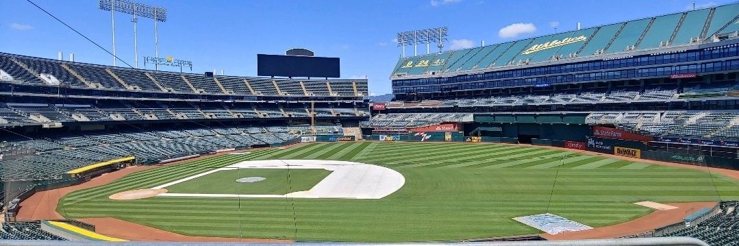 Baseball Jen 💛⚾🐘💚 banner