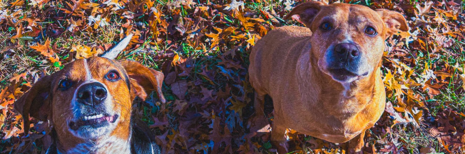 garbage4lyfe's profile banner image