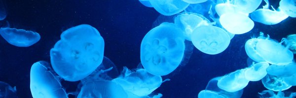 satoi0725 Profile Banner