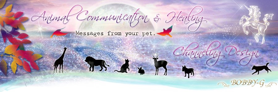 Happy_Dreams's profile banner image