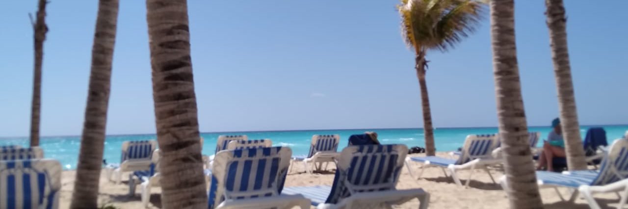 edlalomerar's profile banner image