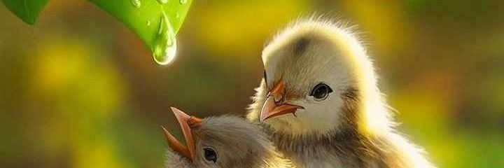 ali_afroz_'s profile banner image