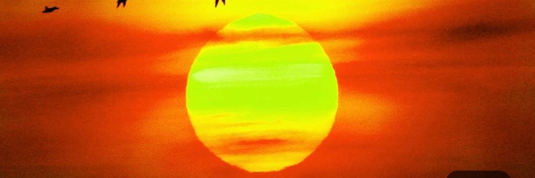 Orange Is The Future.🇮🇳🇮🇳🇮🇳 banner