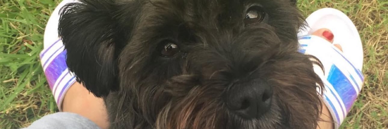 ⋆˙XO☽ banner