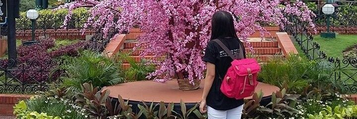 sandi_chin's profile banner image