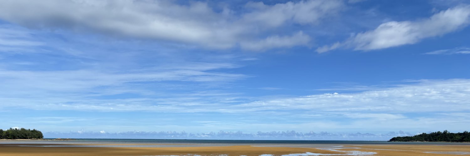 bot92801416's profile banner image