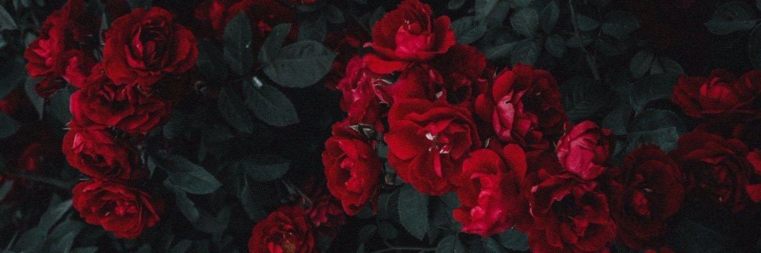 K4R4M4B3's profile banner image