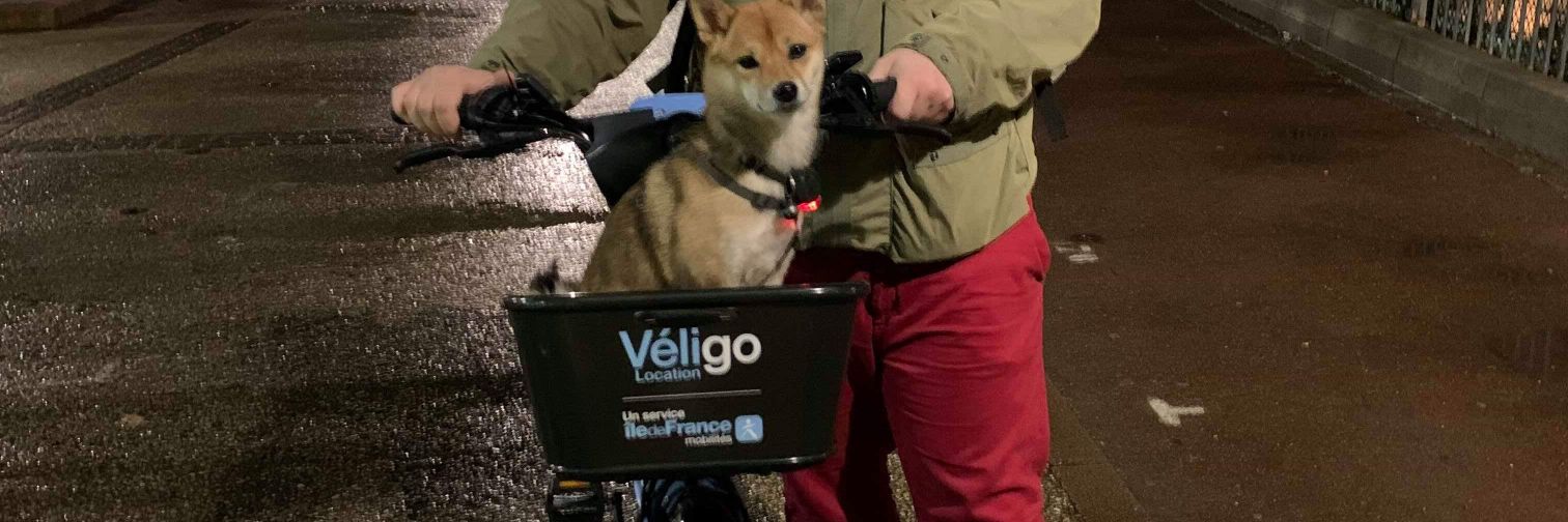 YellowChickBike's profile banner image