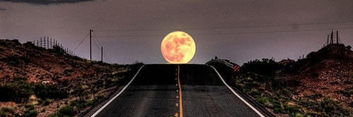 Ne_rea_'s profile banner image
