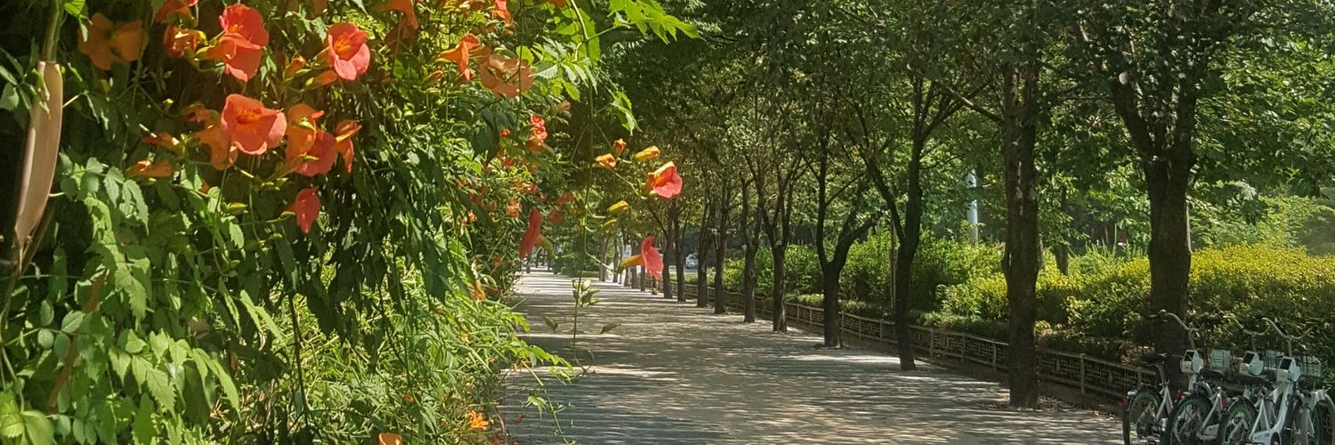 wttiluv's profile banner image