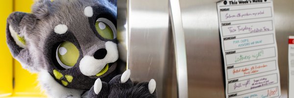 LostTelly Profile Banner