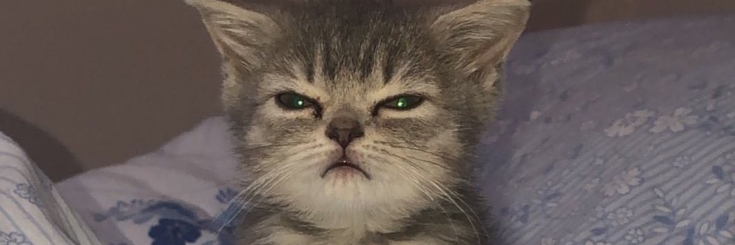 salimoneIIa's profile banner image