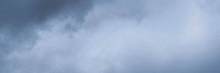 햄순자 banner