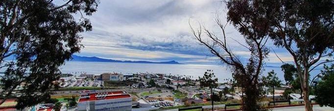 Posgrado Ecologia Marina CICESE - CONACYT banner