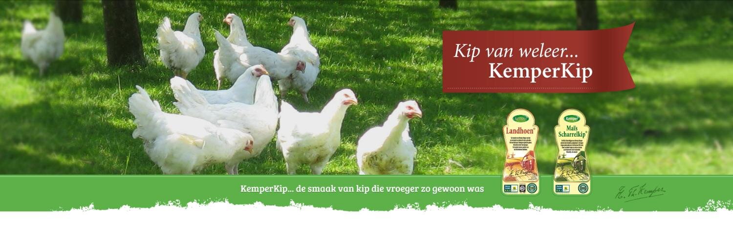 KemperKip BV banner