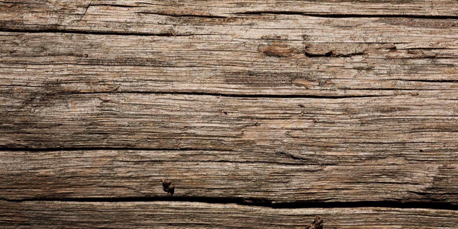 Unfermented's profile banner image