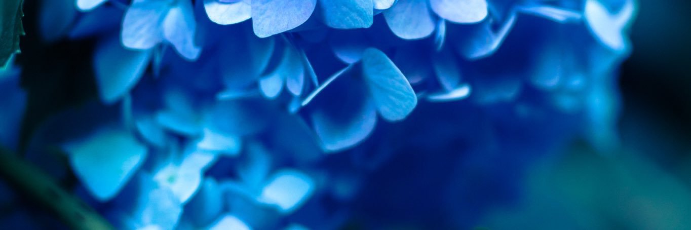 sky_13_yu's profile banner image
