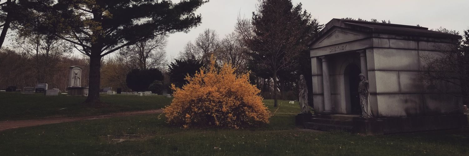 Treax3's profile banner image