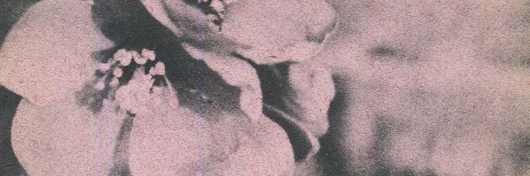 🕳 banner