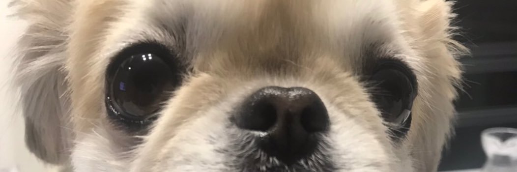 chiisuke777's profile banner image