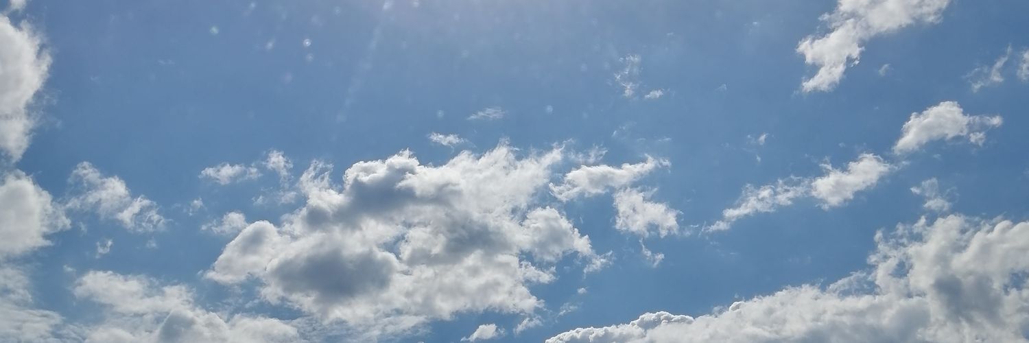 esevliz's profile banner image