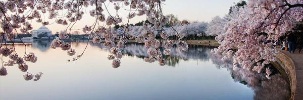 Frymezimi Profile Banner