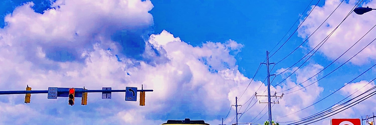 thesearcyshow banner