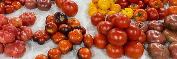 postphysiol Profile Banner