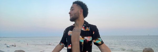 29blackbadger Profile Banner